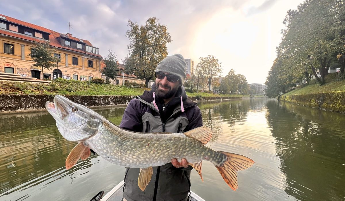 Ščukijada 2025 v zmajevem revirju na Ljubljanici in Iščici, 11. 10. 2025