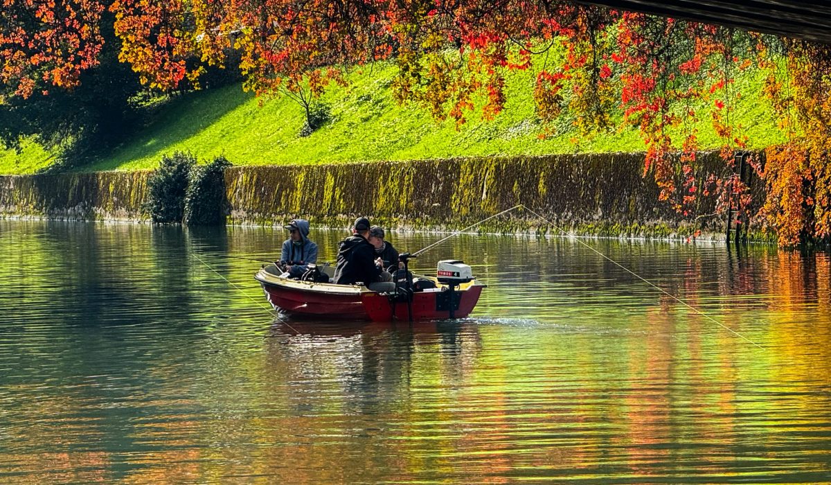 Ščukijada 2025 v zmajevem revirju na Ljubljanici in Iščici, 11. 10. 2025