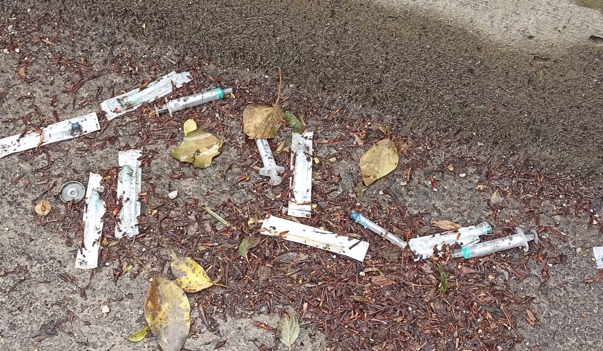 igle-ob-zelimeljscici