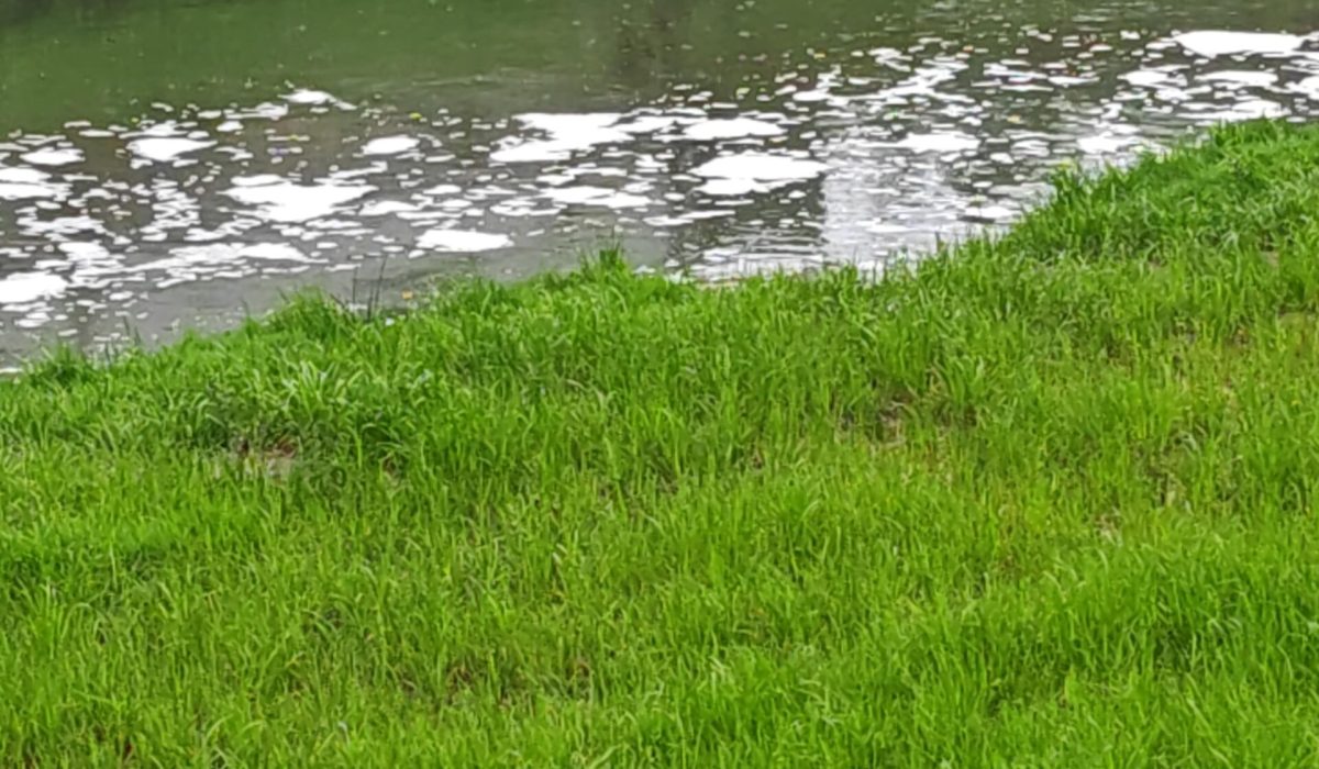 Sumljive pene na Malem grabnu